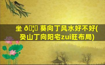 坐 🦋 葵向丁风水好不好(癸山丁向阳宅zui
旺布局)